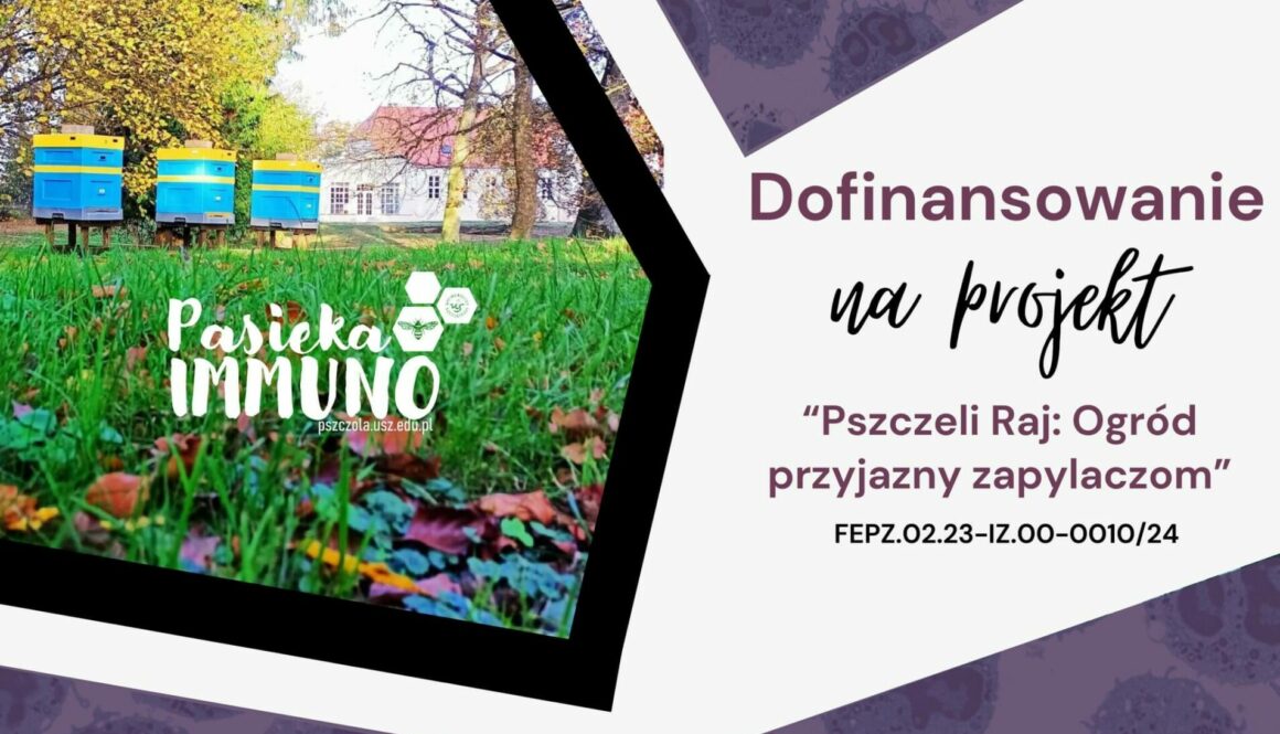 projekt-pszczeli-raj-ogrod-przyjazny-zapylaczom